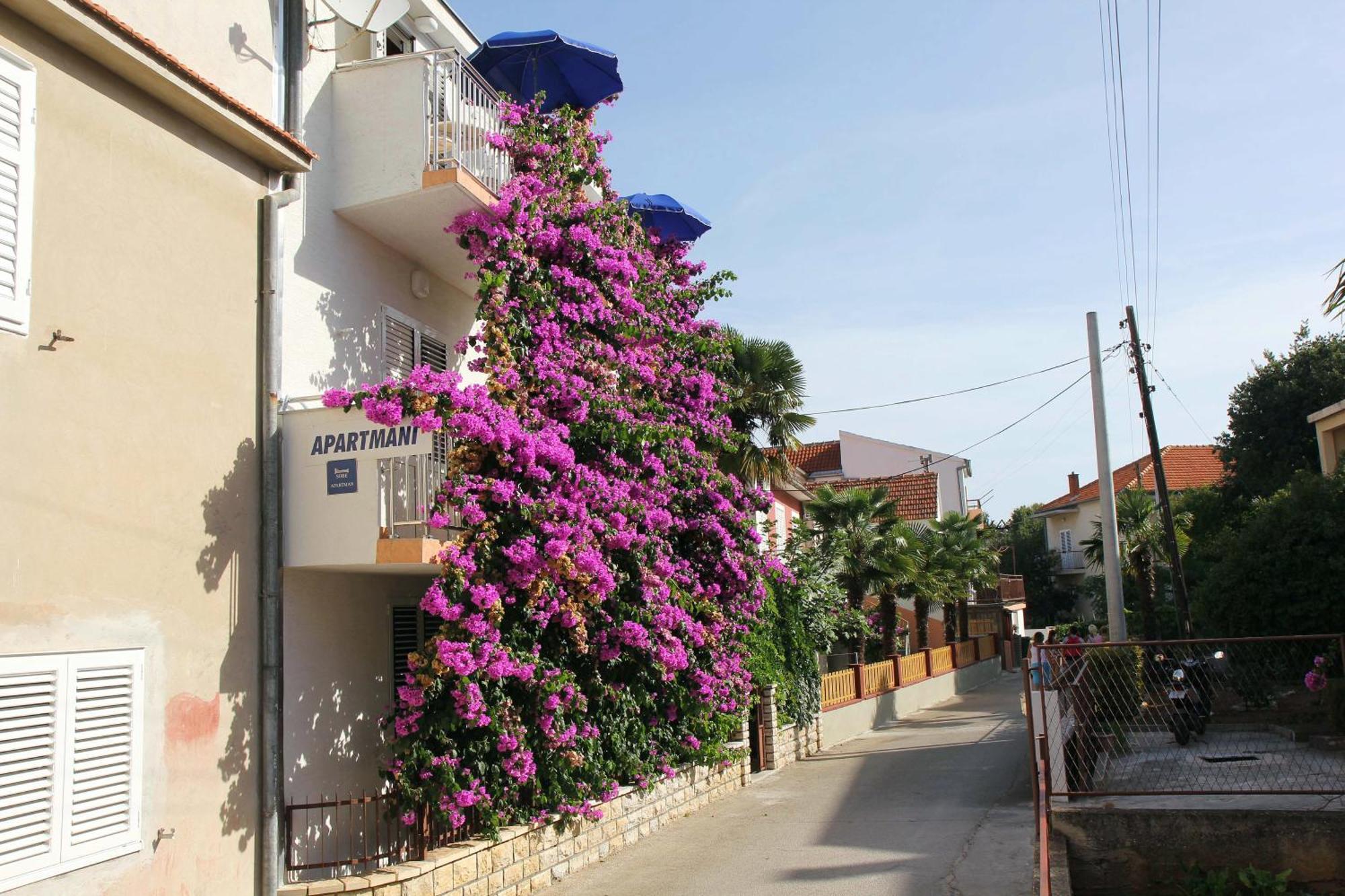 Apartments J&R Babara Biograd Na Moru Cameră foto